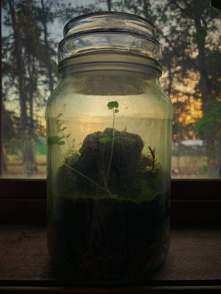 Let Us Be That&nbsp;Light